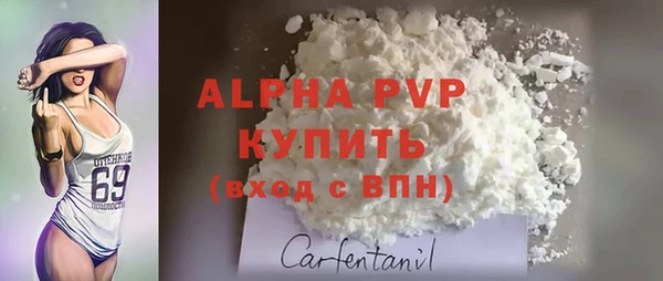 эйфоретик Касимов