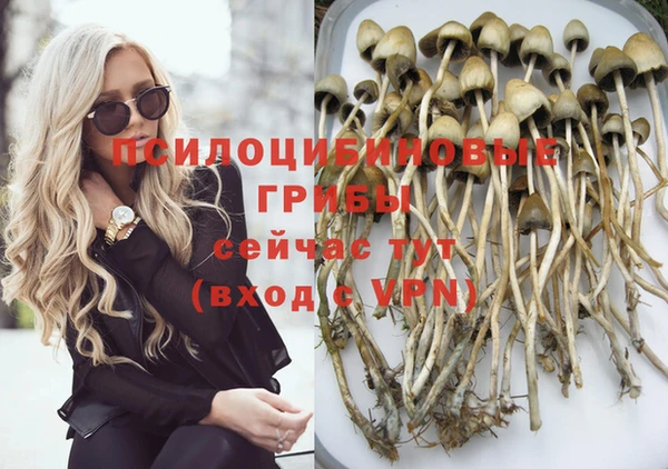 синтетический гашиш Карпинск