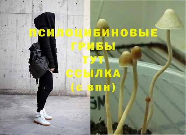 спиды Володарск