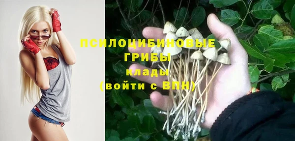 спиды Володарск