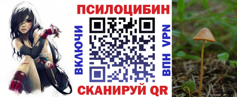 Галлюциногенные грибы мицелий  Кизел 